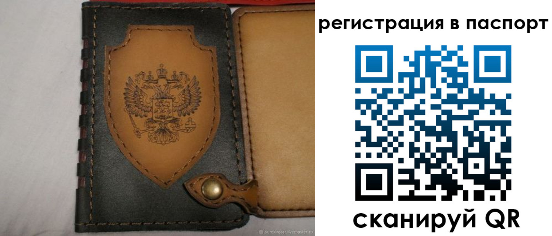 прописка поиск в Кинеле